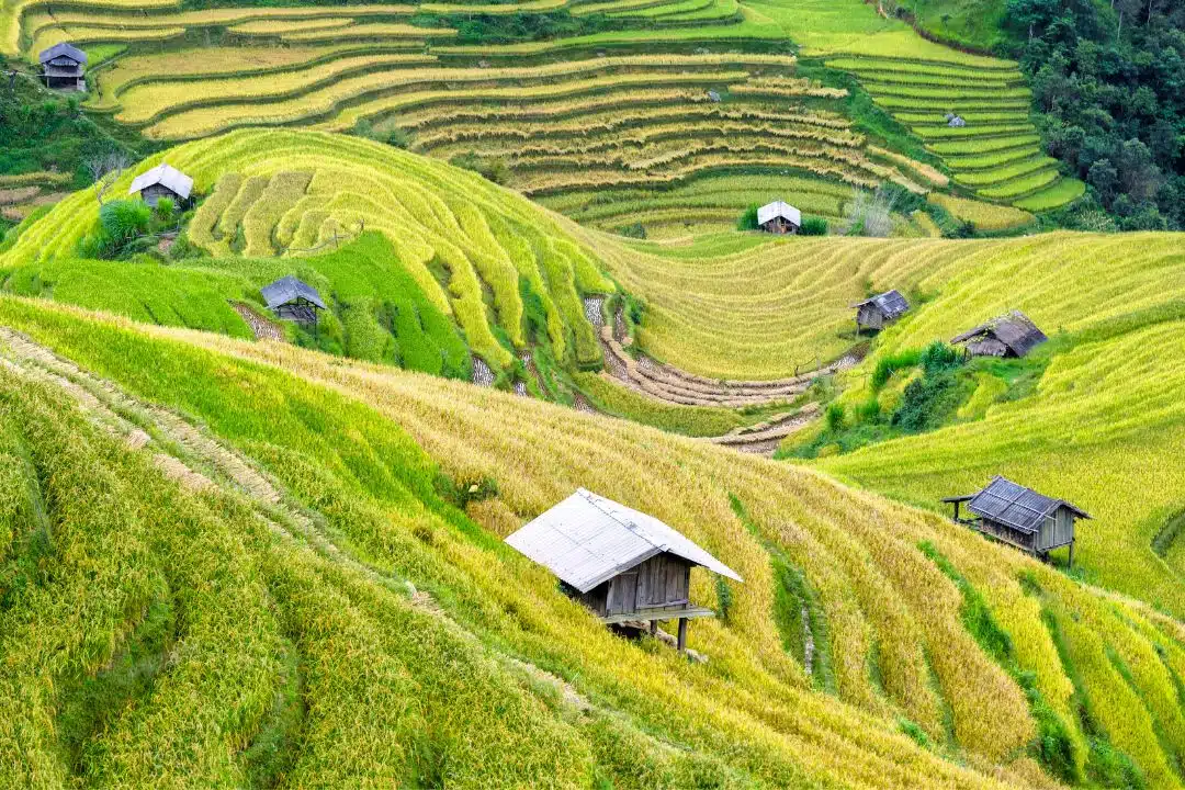 Vietnam Overview