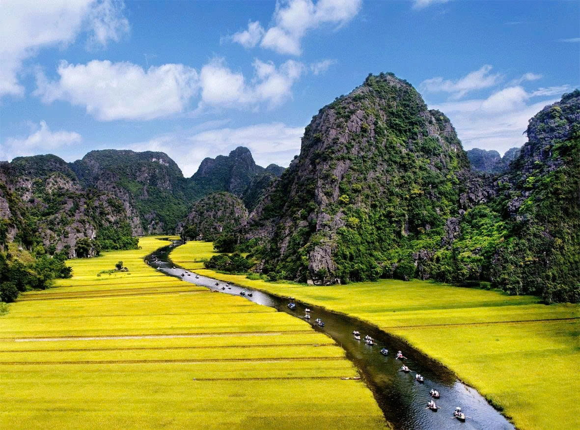 Best Of Vietnam