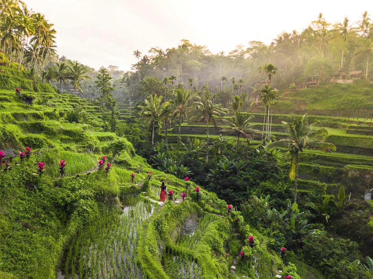Best Things To Do In Ubud