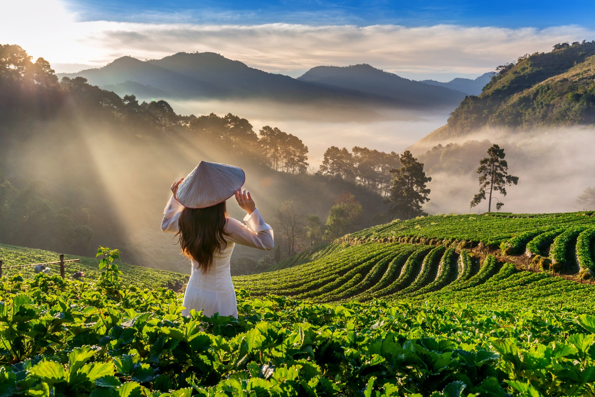 Most Wonderful Experiences With The Exceptional Organization From VietnamStay