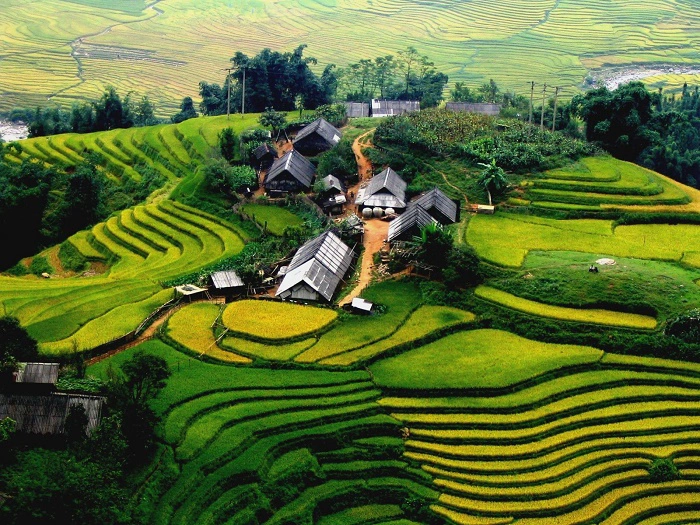 Vietnam Highlights